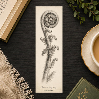 Fiddlehead Bookmark | Pencil Sketch Botanical | Naturalist Illustration | Nature Lover Gift