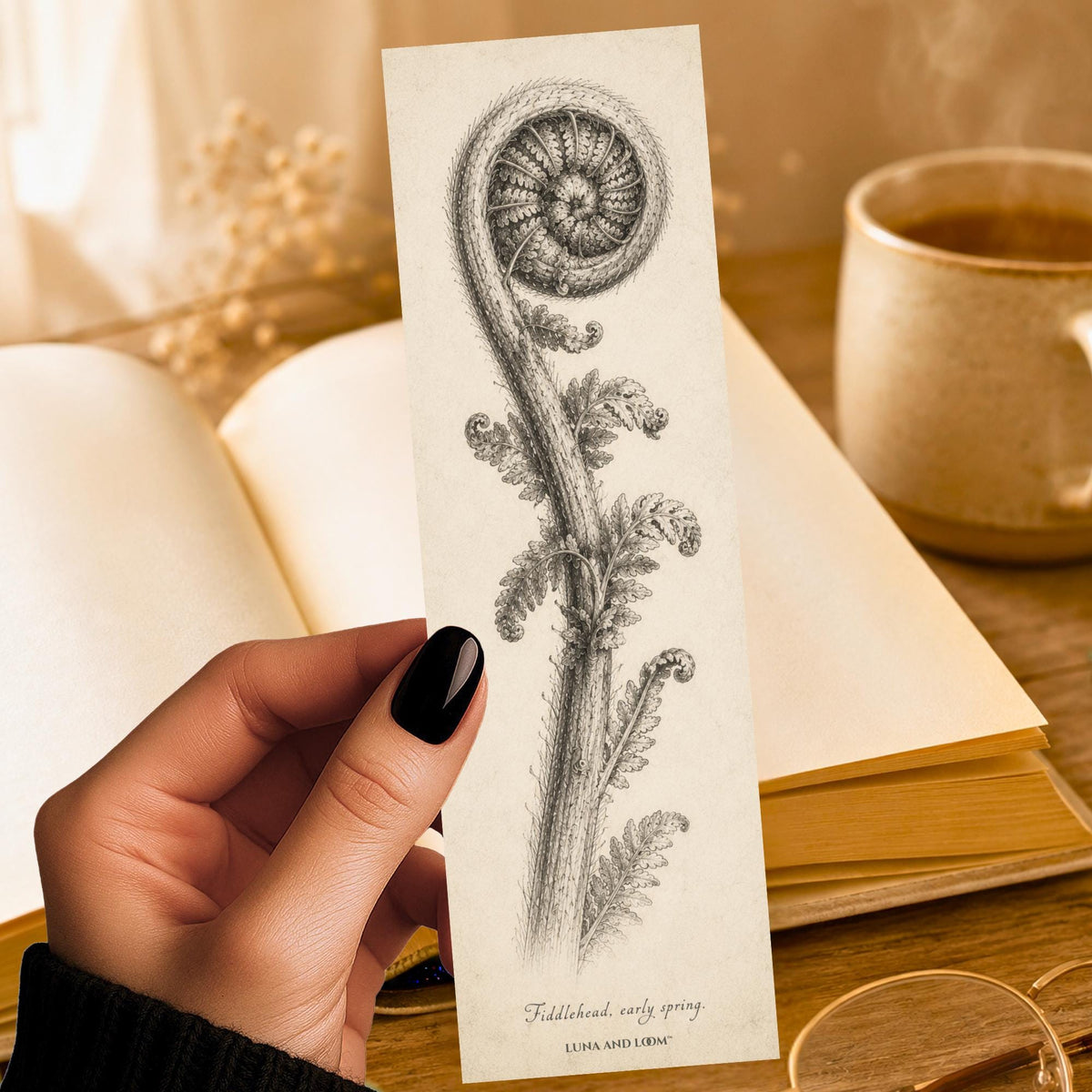 Fiddlehead Bookmark | Pencil Sketch Botanical | Naturalist Illustration | Nature Lover Gift