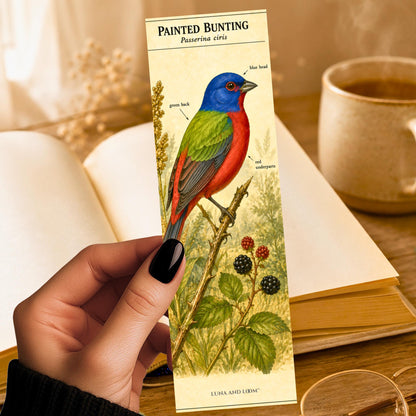 Painted Bunting Bird Bookmark | Nature Lover Gift | Naturalist Field Guide Art |