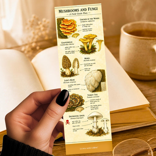 Mushrooms and Fungi Bookmark | Forager Gift | Mycology | Nature Lover | Naturalist Field Guide | Cottagecore