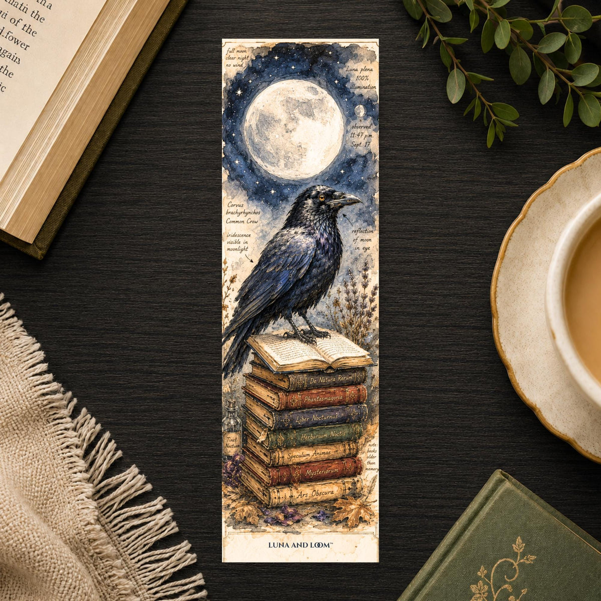 Witchy Crow Bookmark | Gothic Moonlit Raven Art, Dark Academia Reader Gift