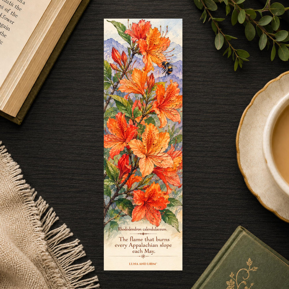 Rhododendron Bloom Bookmark | Appalachian Inspired | Blue Ridge Wildflower Gift | NC Nature Bookmark
