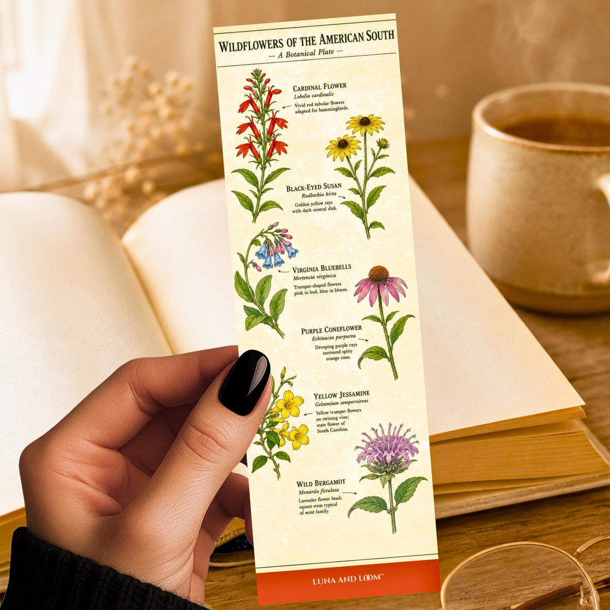 Southern Wildflowers Bookmark | Botanical Illustration | Nature Gift | Field Guide | Flower Lover Gift